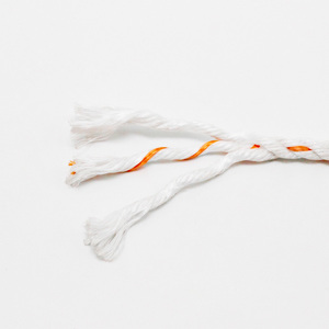 Cường Độ Cao 3 Sợi Xoắn Bền Danline <span class=keywords><strong>PP</strong></span> Bện Đánh Cá Biển Lưới Dây Cổ Phiếu Với Giá Tốt Bao Bì Dây - Product Image 3