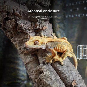 Terrario Rectangular de Acrílico de Alta Transparencia para Lagartos y Geckos, Ambiente Ecológico con Temática Desértica, Hábitat para Serpientes, Rana Arbórea - Product Image 3