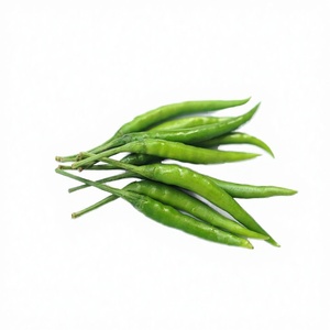 เปลือก<span class=keywords><strong>ต้น</strong></span>การบูรแห้งธรรมชาติจากฝูเจี้ยน ยี่ห้อจางชูปี้ สำหรับใช้เป็นสมุนไพร - Product Image 4