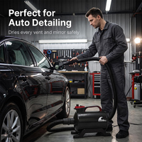 Secador de Autos Profesional Shernbao SHD-2800P de 2800W con un Solo Motor, Soplador de Aire para Lavado de Autos
