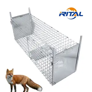 Humane Metal Large Live Wild Coyote Eichhörnchen Kaninchen Waschbär Hunde käfig Falle Fox Tier falle Wildkatzen falle Käfige zu verkaufen
