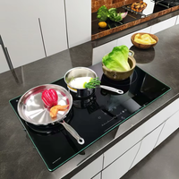 Cuisinière à induction multi-têtes haute puissance Four électrique en céramique intégré Efficacité énergétique Usage domestique Sortie d'usine