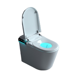 Цельный керамический унитаз - Product Image 1