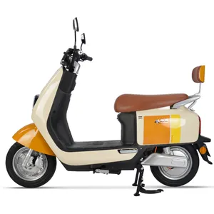 Hot Sale High Efficiency Machine 800w 2-Wheel E Motorcycle Electric Moped Scooter