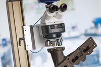 Microscopio Binoculare/Trinoculare Axioscope5/7 con Messa a Fuoco Manuale, Grado di Protezione IP53, Progettato per l'Imaging Ottico in Laboratorio di Materiali