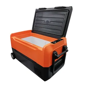 Vente chaude compresseur voiture réfrigérateur réfrigérateur portable pour voyage/camping/pique-nique/yacht/bateau 40L dc 12v/24v mini congélateur