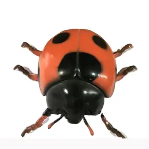 Medical Science Animal Ladybug Anatomy Model Training Enlarged Plastic PVC Ladybug Anatomy Model