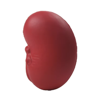 Balle anti-stress en mousse PU personnalisable avec logo, forme de rein, jouet anti-stress unisexe pour les 14 ans et plus