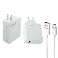Étiquette dorée Chargeur 120w Adaptateur EU US Charge rapide 6A Type C Câble de données Super Fast Charger Plug Phone Adapters Cable Set