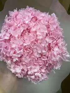 DIY素材不滅の保存された新鮮なアンナアジサイの花カラフルな永遠に続くアジサイ枝付き
