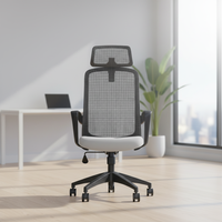 Chaise ergonomique avec support lombaire, appui-tête réglable 2D, dossier en maille respirante, dossier renforcé en fibre de verre PP, accoudoirs fixes