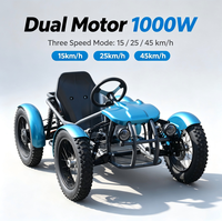 Quadricycle électrique tout-terrain à 4 roues avec pneus larges 48V <45 km/h vitesse maximale