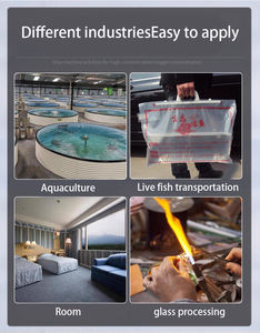 Kleine Industriële Zuurstofgenerator Aquacultuur Zuurstofapparatuur Vis Zuivere Zuurstofmachine - Product Image 4