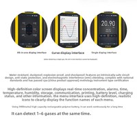 Détecteur de gaz multi-gaz portable 4 en 1, analyseur de biogaz CO/H2S/O2/CH4/NOX/CO2