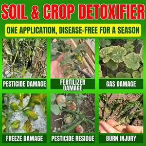 Engrais spécialisé pour la désinfection du <span class=keywords><strong>sol</strong></span>, engrais organique, engrais hydrosoluble, engrais pour le <span class=keywords><strong>sol</strong></span> - Product Image 2