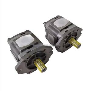 Pompe à engrenages hydraulique IPV IPVP IPC IPVS 3 4 5 6 7 IPVS5-25-101 IPVP 5-32 151 IPVS6-100-101 IPVAP 5 50 101 - Product Image 6