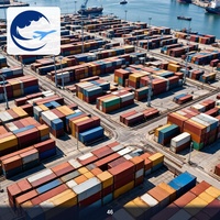 Envío de Contenedores de Bajo Costo Puerta a Puerta desde Qingdao a Corea del Sur, Recogida y Entrega, Servicio DDP DDU, Despacho de Aduanas