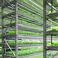 Système de culture hydroponique verticale économique et systèmes de culture NFT pour équipement d'hydroponie en serre