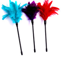 Flirt Esclave pour Couple Adulte Jeu Tease Plume Chatouiller Bâton Flirter Fessée Slapper Doux Plume Fouet Sex Toys