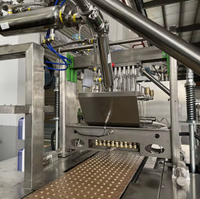 Nouvelle machine à fabriquer des bonbons en gélatine à haute précision PLC, ligne de production de bonbons semi-automatique, acier inoxydable 304 pour l'usine alimentaire