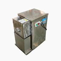 Hoge Efficiëntie 220V 750W Elektrische Kokosnootverwerkingsmachine Gespecialiseerde Kokosnootrasp voor het raspen van vlees, fruit en groenten