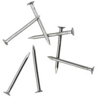 Clous ronds galvanisés en acier inoxydable 304/201 - Pour la menuiserie, la suspension de tableaux et l'utilisation au sol