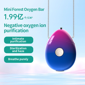 <span class=keywords><strong>Petit</strong></span> purificateur <span class=keywords><strong>d</strong></span>'<span class=keywords><strong>air</strong></span> portable en gros Générateur <span class=keywords><strong>d</strong></span>'ions négatifs 199 millions pendentif <span class=keywords><strong>d</strong></span>ésodorisant - Product Image 3