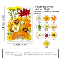 Kit DIY de fleurs séchées Early Riser - Véritables spécimens végétaux respectueux de l'environnement pour la fête des mères, la Saint-Valentin et Noël