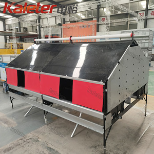 Miễn phí phạm vi Gà Nuôi đẻ Coop tự động làm tổ gia cầm bộ sưu tập làm tổ hộp cuộn đi hen và sản xuất trứng - Product Image 6