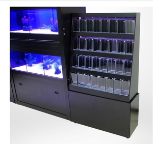 Vitrine personnalisable pour aquarium de poissons Betta |   <span class=keywords><strong>Verre</strong></span> ultra-clair à faible teneur en fer <span class=keywords><strong>et</strong></span> cadre en alliage d'<span class=keywords><strong>aluminium</strong></span> 880 X 300 X 1450 MM - Product Image 4