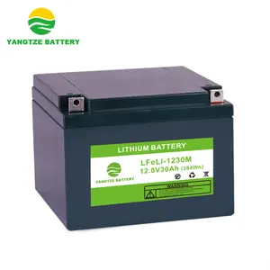 高尔夫球车电动锂电池 12v 72v 30ah 锂离子电池