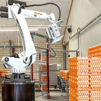 Robot de manutention industriel à grande vitesse pour palettes, KUKA KR50 R2500-2, pour transfert automatique sur ligne de production