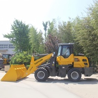 Chargeuse compacte articulée diesel, mini-chargeuse avec accessoires de benne pour la construction