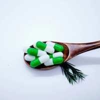 Soutien bien-être : Capsules dures de champignons Reishi