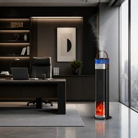 Chauffe-ambiance polyvalent à humidification, oscillant, avec effet de flamme simulée, sécurisé pour les enfants, chauffage PTC pour clinique professionnelle