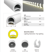 Tube lumineux néon programmable haute luminosité pleine couleur 20 mm IP67 DC24V 270 ° Lumières néon LED flexibles pour l'éclairage de projets