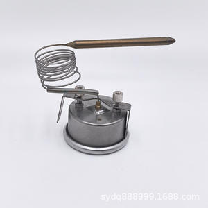 Termómetro Capilar de Acero Inoxidable Resistente a Altas Temperaturas 500C/600C para Horno de Pizza, Herramientas para Pizza - Product Image 2