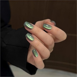 Cat Eye <b>Gel</b> <b>Nail</b> Polish Holographic Glitter Jelly <b>Nail</b> Polish with Magnet, Reflective Translucent UV <b>Gel</b> for Manicure Art DIY - Product Image 1