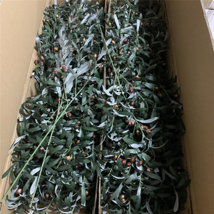 QSLH-VF005 all'ingrosso piante artificiali oliva 4 rami con frutta <span class=keywords><strong>ramo</strong></span> di <span class=keywords><strong>ulivo</strong></span> steli <span class=keywords><strong>ramo</strong></span> di <span class=keywords><strong>ulivo</strong></span> artificiale per la decorazione - Product Image 1