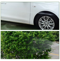 Nettoyeur haute pression sans fil pour voiture et jardin, pistolet à eau en cuivre pur, vente en gros