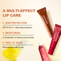 Baume à lèvres végétalien SPF 25 à l'extrait de cellules souches d'aloe vera, nourrissant, antioxydant, enrichi en vitamine E, marque privée OEM