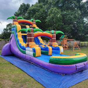 สไลด์น้ำ<span class=keywords><strong>เป่า</strong></span><span class=keywords><strong>ลม</strong></span>แบบเป่าลมรูปต้นปาล์มเขตร้อนแบบมีที่เป่าลม - Product Image 3