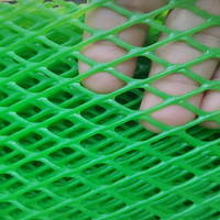 Pakistan Inde USA Japon Canada Agriculture Clôture en plastique coloré/Filet de clôture pour poulet Volaille