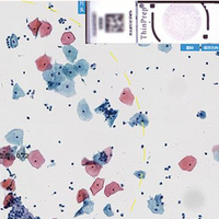 Scanner de diapositives numérique portable BestScope Scanpro5-5, système de numérisation de diapositives tout-en-un pour la recherche clinique, le laboratoire de pathologie