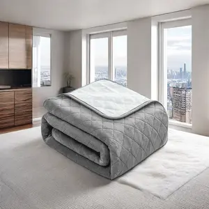 Luftentfeuchtende elektrische Matratze für Zuhause/Hotels Verwendung Doppelsteuerung Ultraschall-elektrische Heizdecke