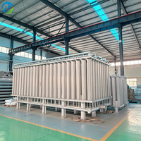 Nuevo Vaporizador Criogénico de Aire Líquido Calentado por Argón, Vaporizador de Aire Líquido a Temperatura Ambiente para Tiendas de Alimentos y Bebidas, Aleación de Aluminio