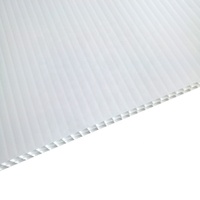 Feuille de plastique ondulé PP/PE, vente en gros, livraison gratuite