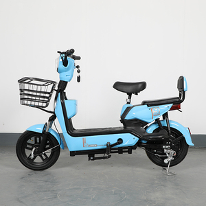 Bicicletta Elettrica Economica da 350W, 30km/h, con Batteria al Piombo-Acido 36V12AH, 180 USD - Product Image 1