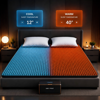 Surmatelas rafraîchissant pour les personnes ayant chaud la nuit, système de refroidissement de lit à circulation d'eau avec chauffage et contrôle de la température