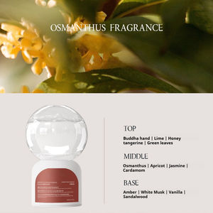 Difusor de Líquido Invertido Hecho a Mano, Libre de BPA, Decoración para el Hogar, Rociador de Larga Duración con Fragancia, Ambientador, Origen Estadounidense - Product Image 6